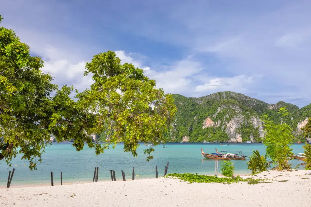 جزيرة في في Phi Phi Island