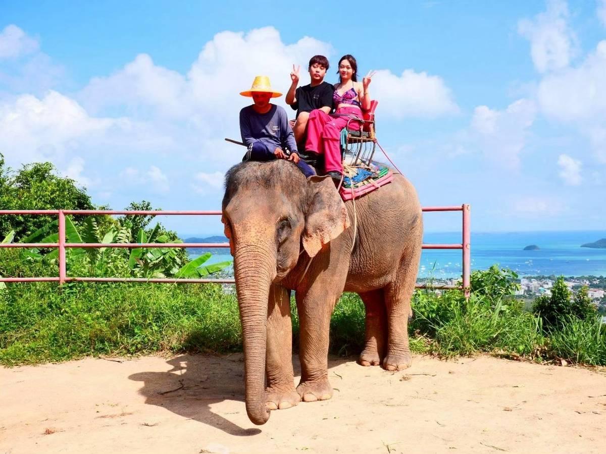 Elephant